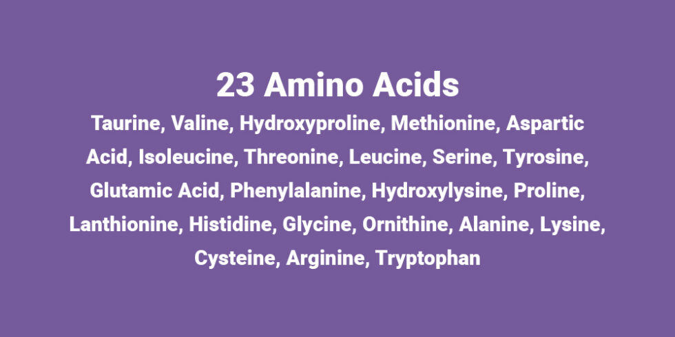 Understanding Plant Processes: Step 3 – Amino Acids | GE Turf